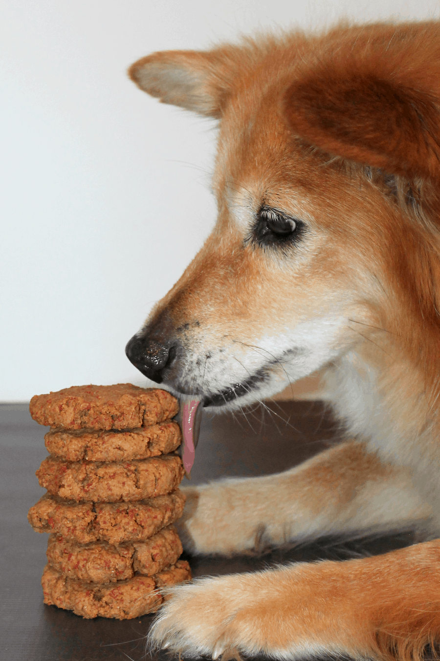 a dog licking a stack of 3-ingredient peanut butter dog cookies