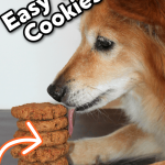 a dog licking a stack of dog cookies with a text overlay that says, "easy dog cookies - only 3 ingredients & dogs love them!".