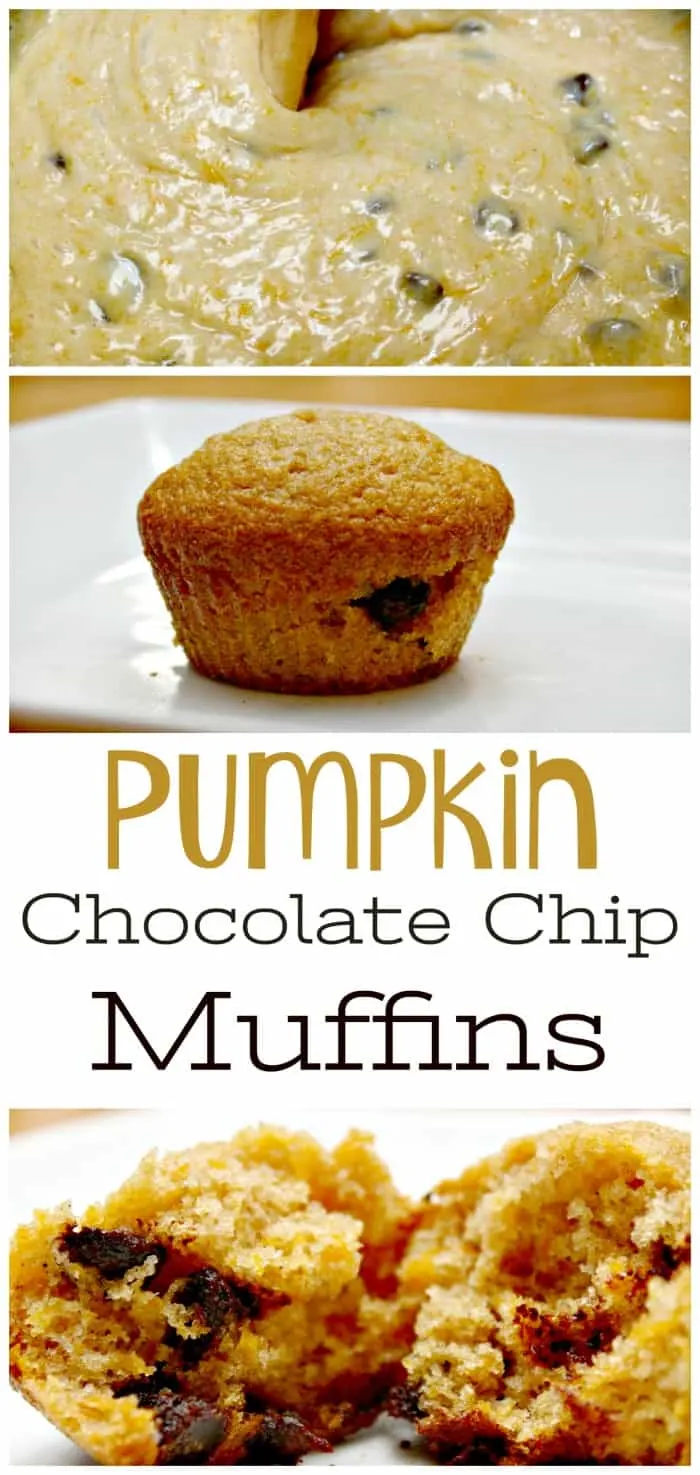Pumpkin Chocolate Chip Muffins Recipe {Fall Favorite}