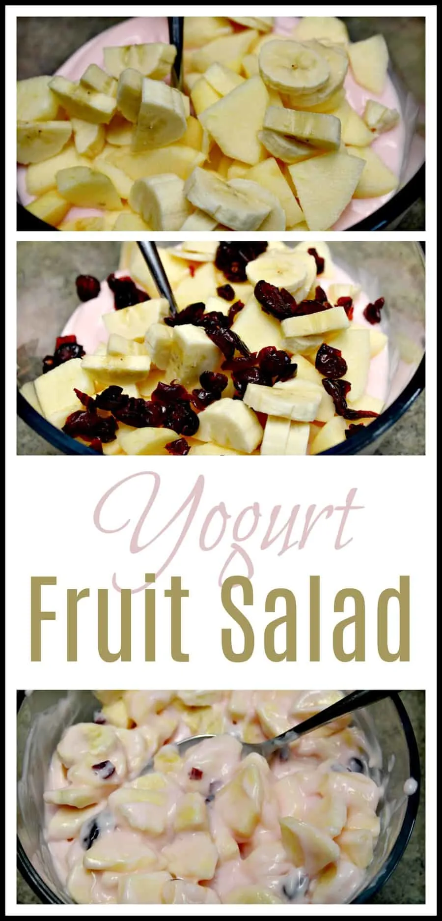 Easy Yogurt Fruit Salad Recipe - 4 Ingredients!