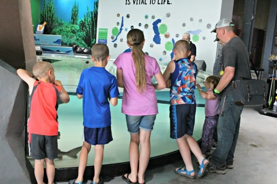 Family Friendly Attractions In Duluth MN - Great Lakes Aquarium