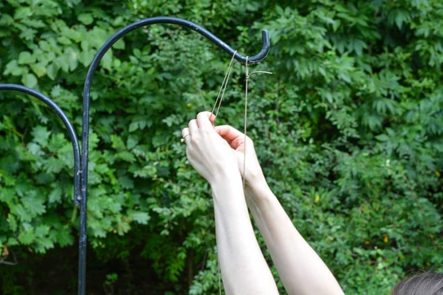 Easy To Make Bird and Squirrel Feeders