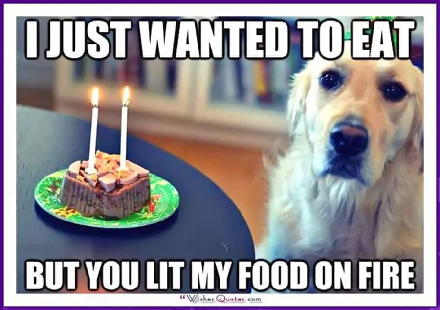 15 Funny Birthday Memes That Are So Accurate They Take The Cake