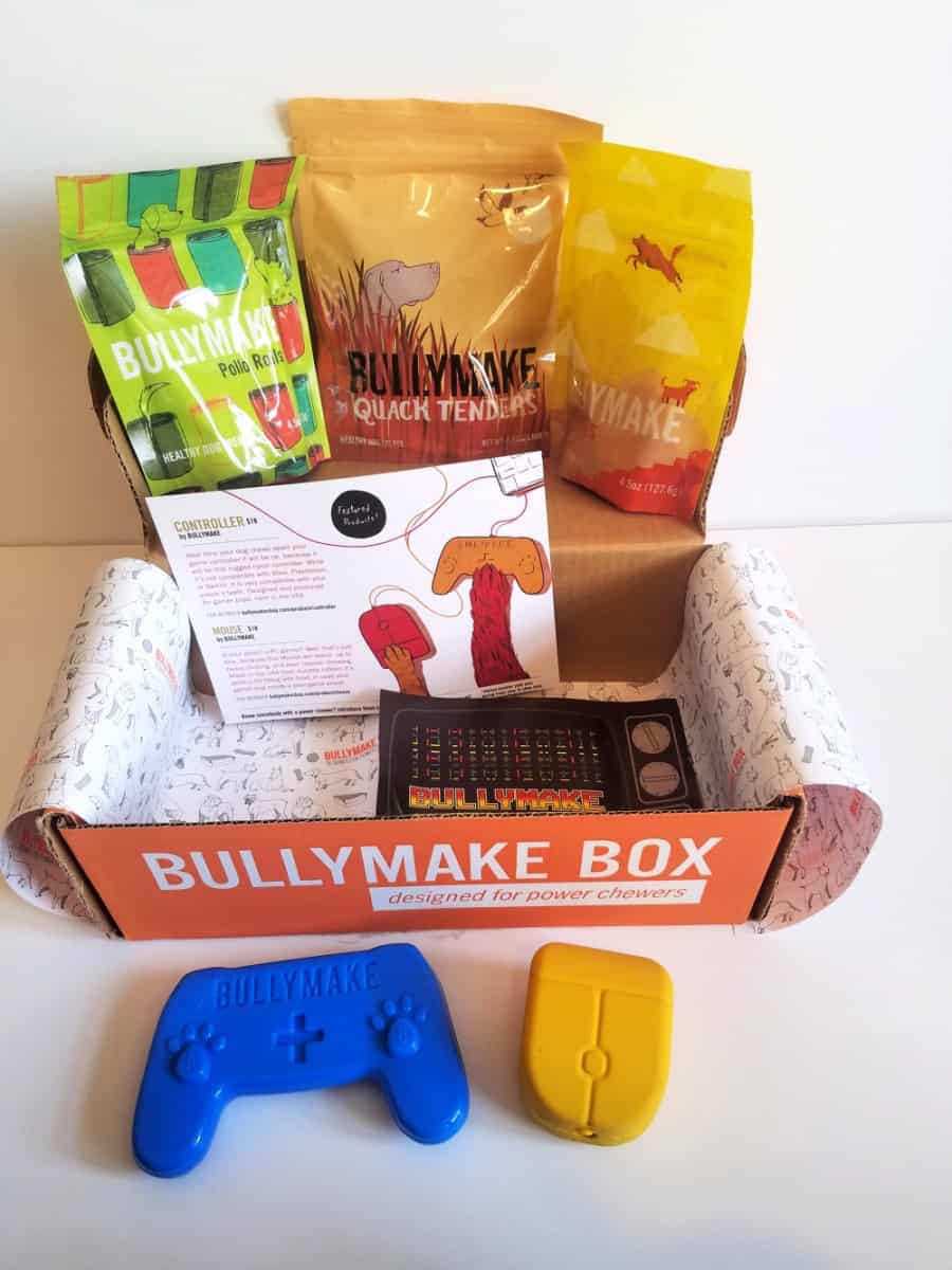 BULLYMAKE Subscription Box review