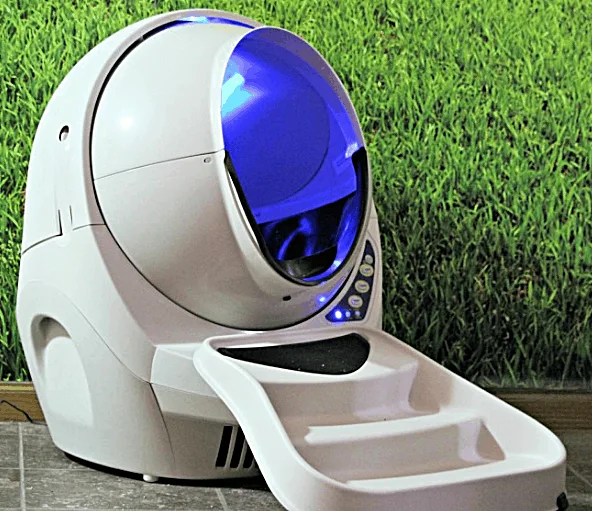 What You Need To Know Before Getting A House Cat - Litter Robot