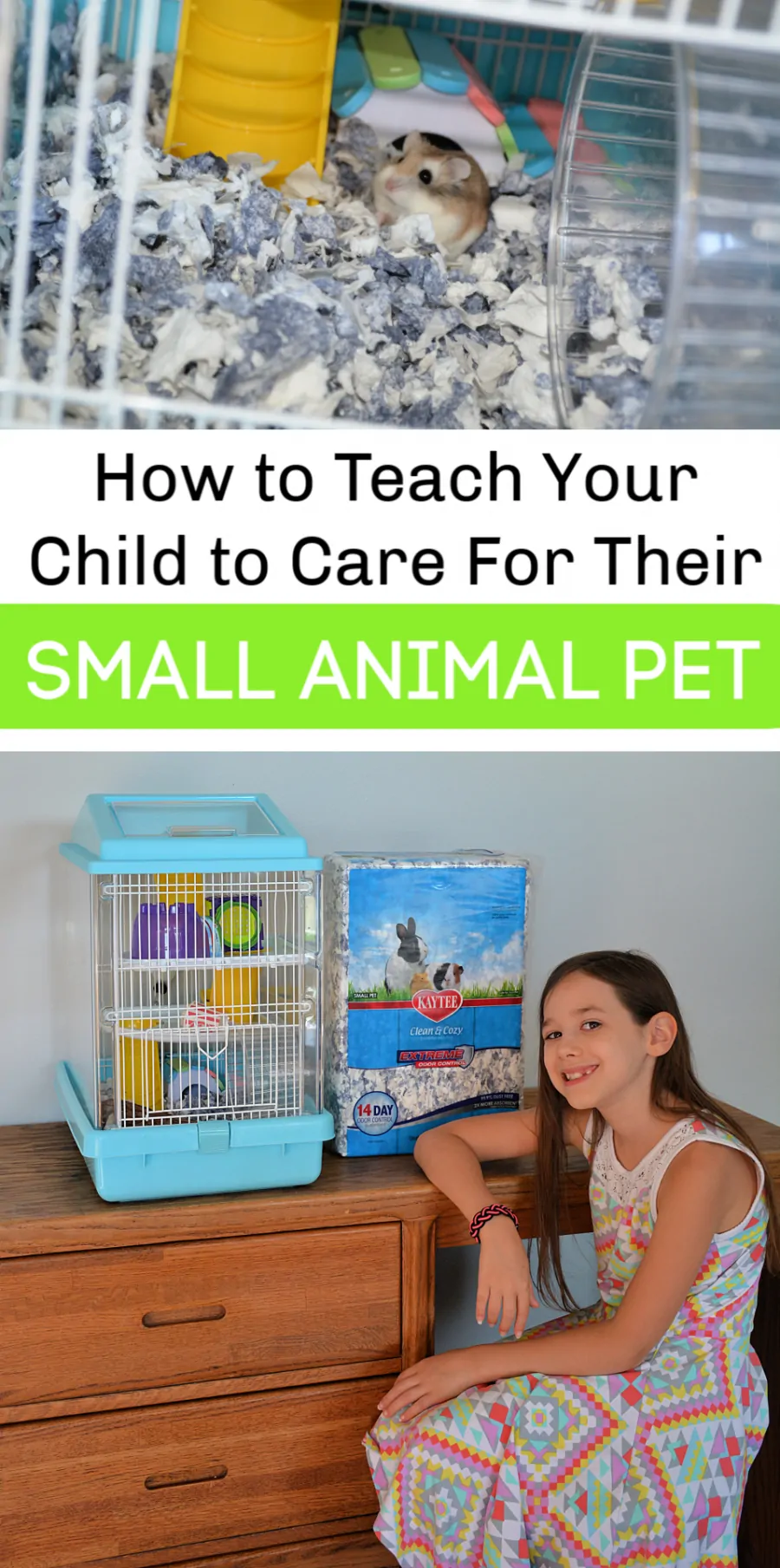 How to Teach Children to Care for Small Animals