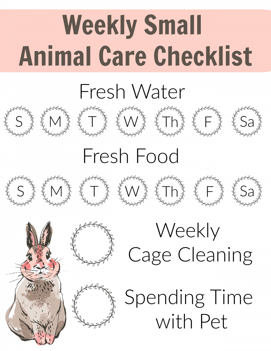 Weekly Small Animal Care Checklist