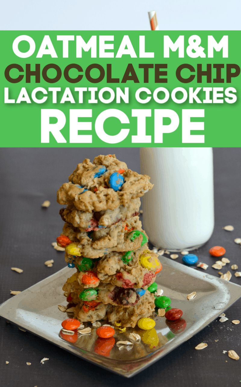 Oatmeal Chocolate Chip Lactation Cookies Recipe
