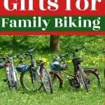 The Best Gifts for Family Biking (2020 Cyclist Gifts Holiday Gift Guide)