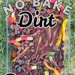 No Bake Dirt Dessert