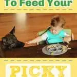 Easiest Way to Feed Your Picky Eaters