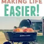 cart with pumpkins - Make Life Easier With Gorilla Carts
