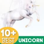 10+ Unicorn Lovers Gift Ideas