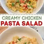 Creamy Chicken Pasta Salad