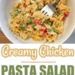 Creamy Chicken Pasta Salad Recipe - A Great Side Dish!