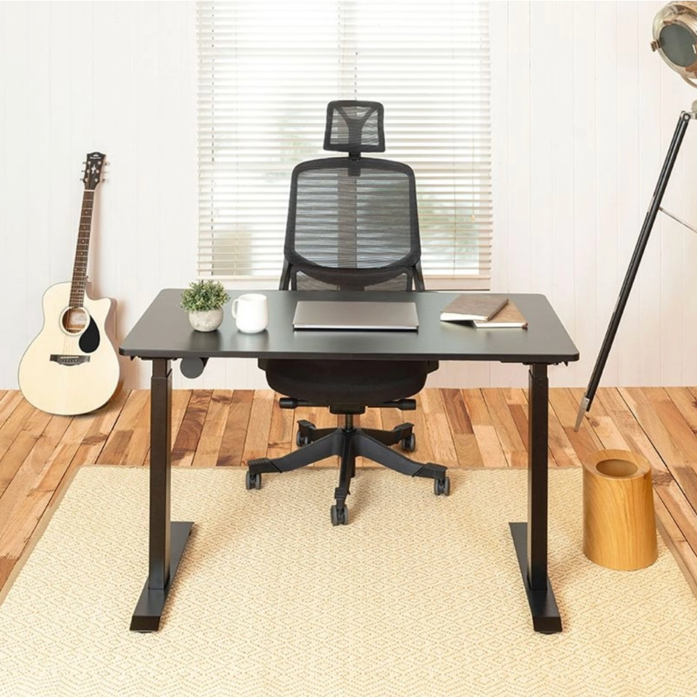 Office setup- FlexiSpot Office Desk Chair