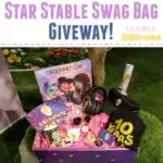 Celebrate Star Stable’s 10th Anniversary With A Giveaway!