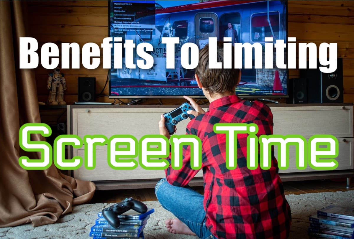 Benefits To Limiting Screen Time - Lifetime Double Adventure Tower Playset Review 