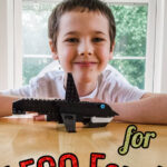 boy with orca LEGO and a text overlay that says "Christmas Gifts for LEGO fans"