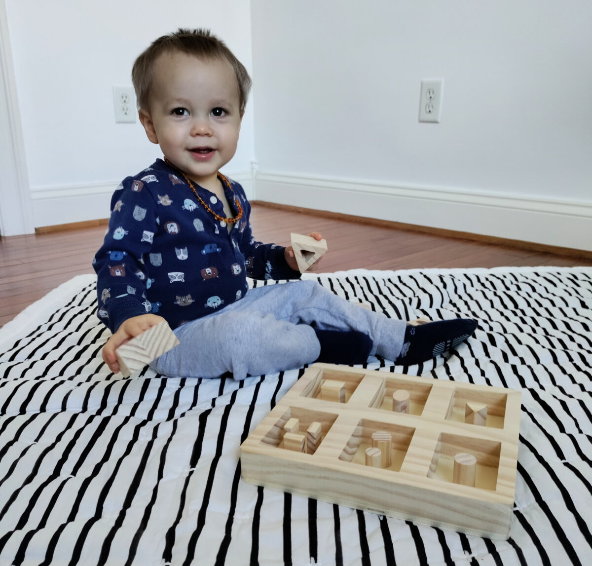 Dad's Brooklyn Deep Cutout Safe Puzzle Review - The Safer Wooden, Montessori Puzzle for Toddlers and Preschoolers