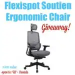 Flexispot Soutien Desk Chair Giveaway