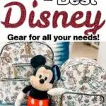 The BEST Disney Bags, Backpacks, & Diaper Bags