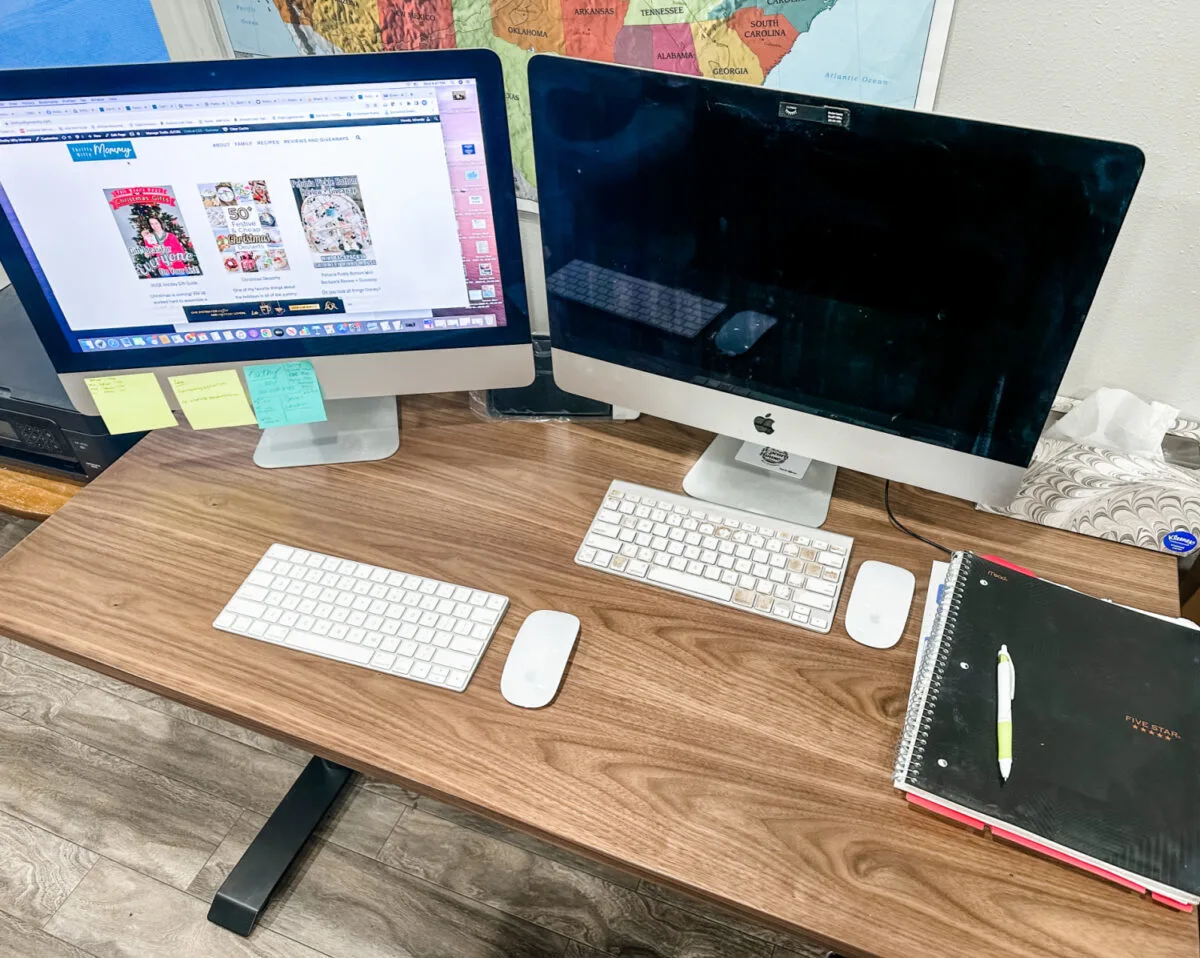 Office Desk - Flexispot E8 Standing Desk Review