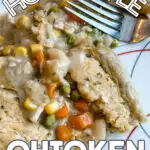 Homestyle Chicken Pot Pie Recipe (1)