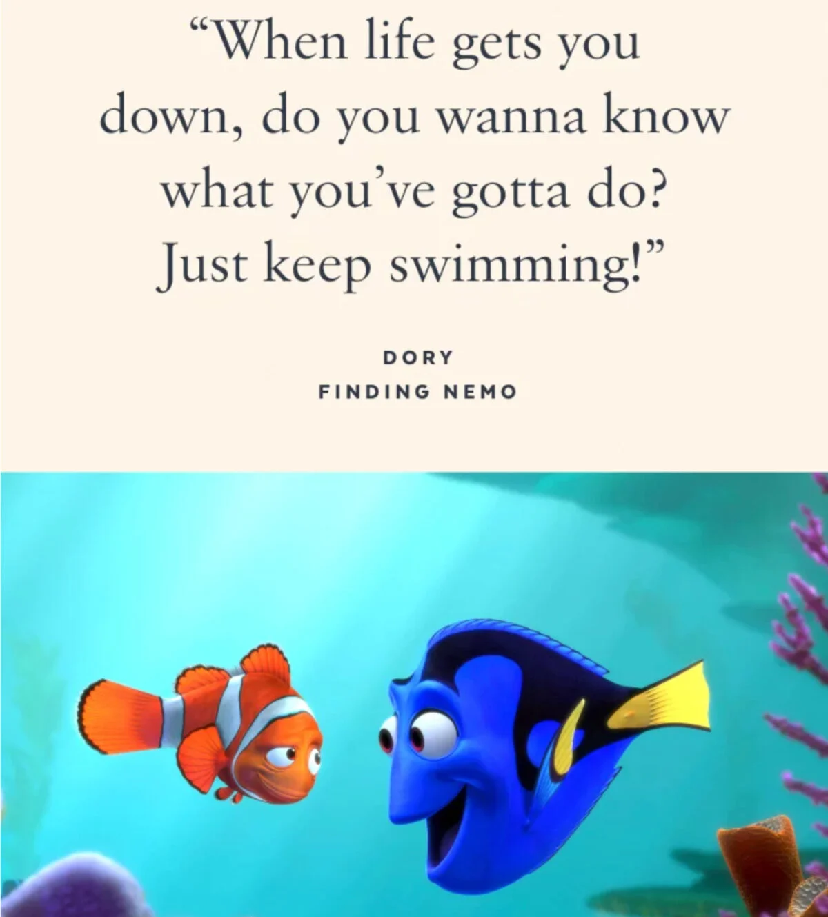 Finding Nemo Quote and Meme - The Best Disney Memes On The Internet