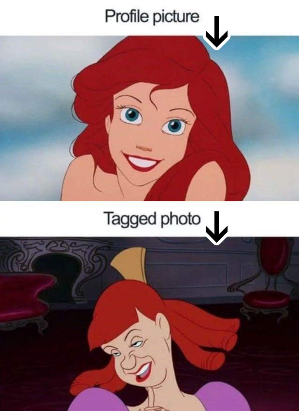 hilarious Disney meme with the little mermaid and ugly stepsister. - The Best Disney Memes On The Internet