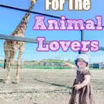 Gifts For Kids Who Love Animals