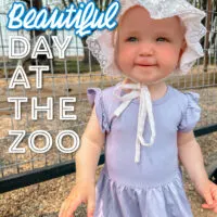 A Beautiful Day At The Zoo With My Toddler (+ Kyte Baby)