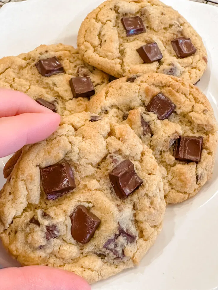 Best Chocolate Chip Cookie Recipe