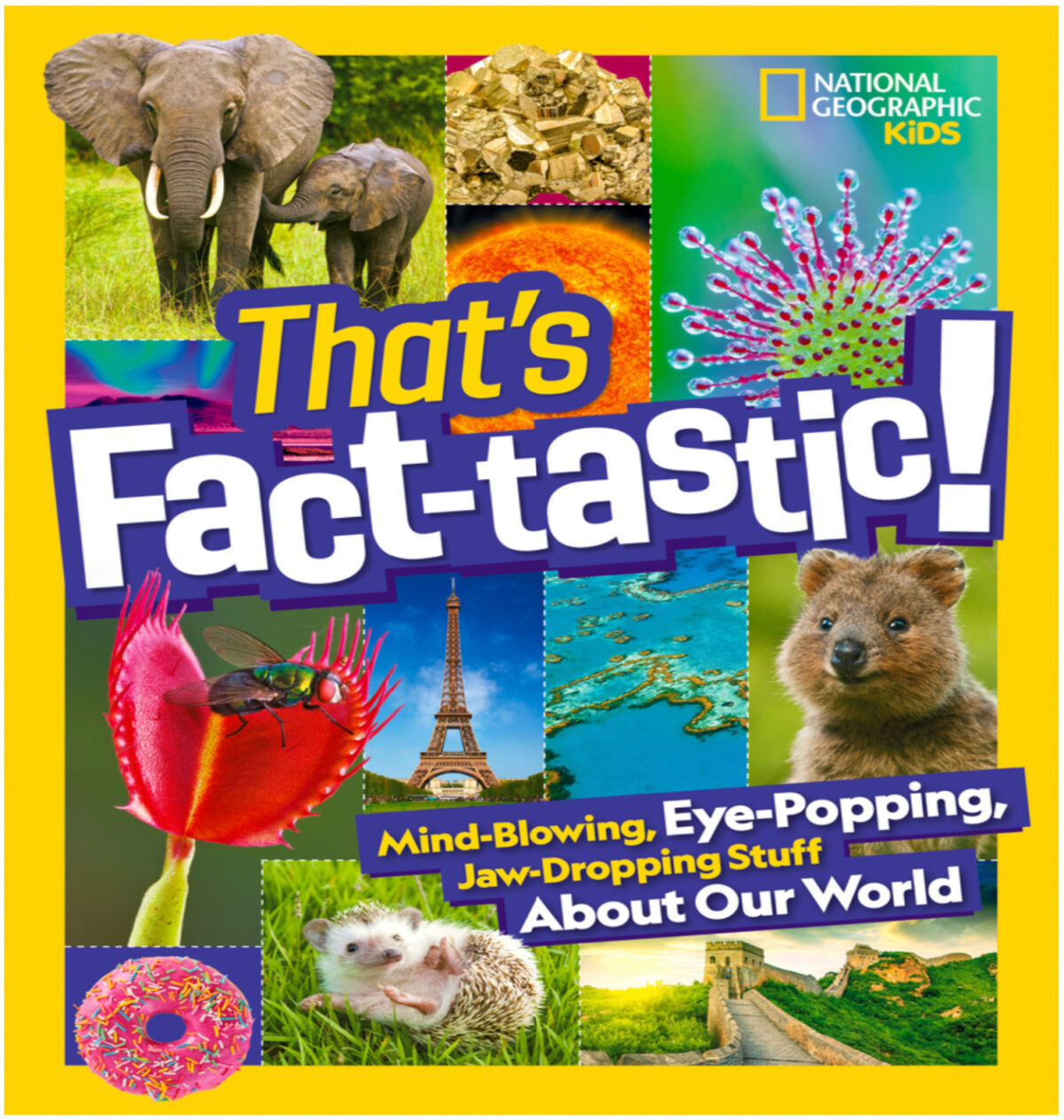 That's Fact-tastic! Mind-Blowing, Eye-Popping, Jaw-Dropping Stuff About Our World   (ages 8-12, Hardcover, $19.99)