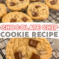 The Best Chocolate Chip Cookie Recipe Ever (8)