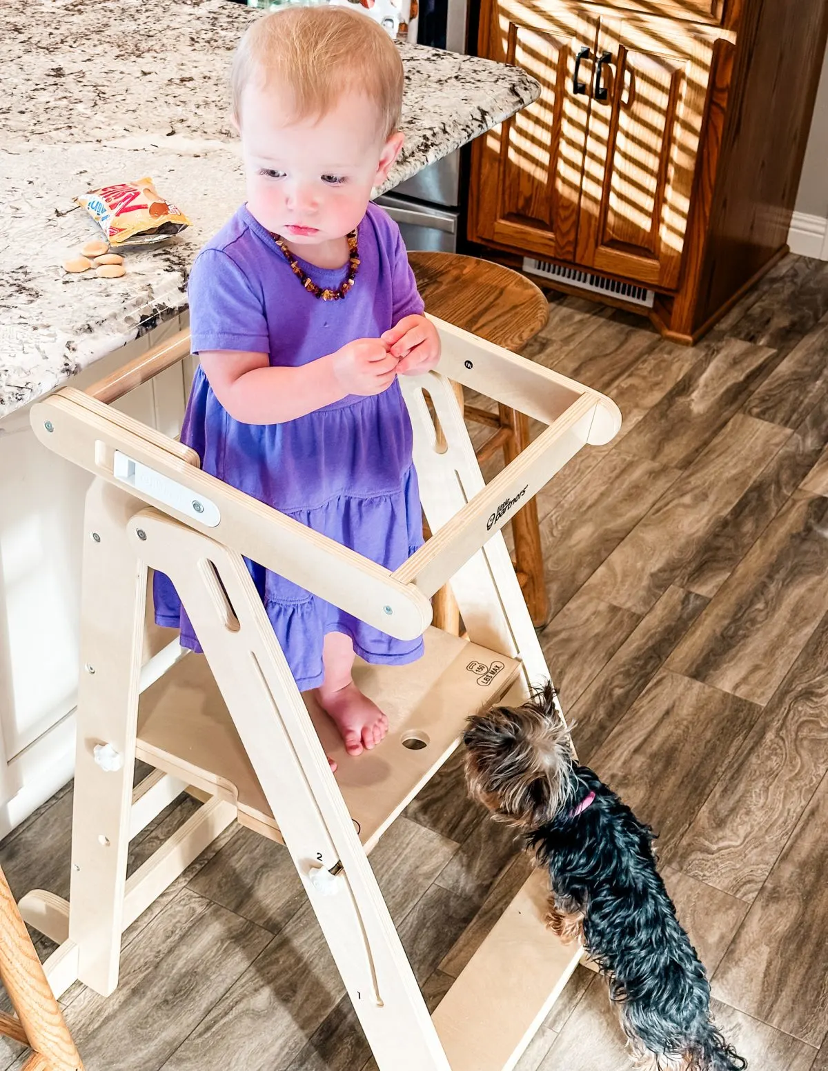 girl with dog - Ways To Help Your Toddler Become Independent