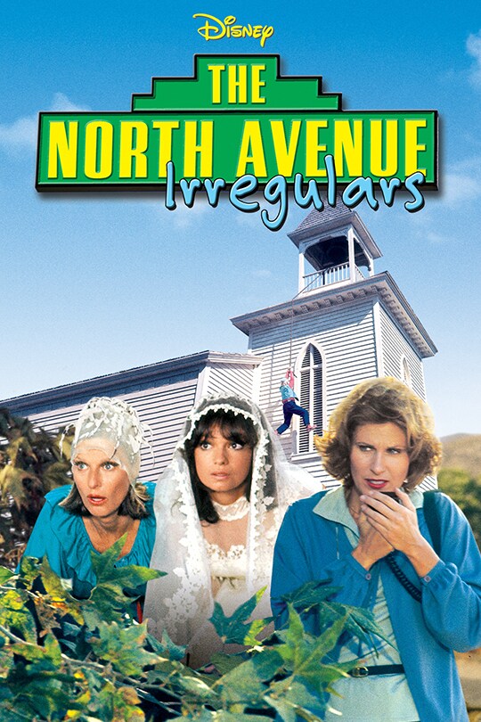 The North Avenue Irregulars DVD cover